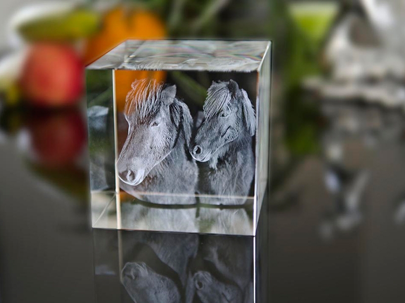 3D Kristall Pony Pferd
